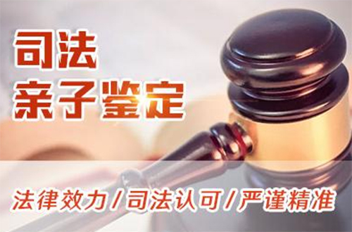 沈阳司法DNA亲子鉴定如何办理,沈阳司法亲子鉴定收费需要多少