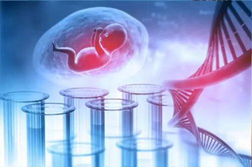 沈阳怀孕了如何办理亲子鉴定最简单方便,沈阳产前亲子鉴定收费多少