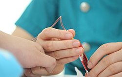 沈阳落户亲子鉴定费用是多少，沈阳落户亲子鉴定采集什么样本