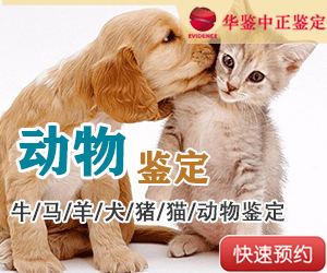 沈阳动物亲子鉴定