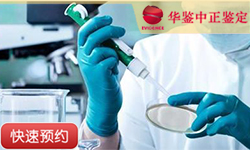 沈阳父系亲缘鉴定